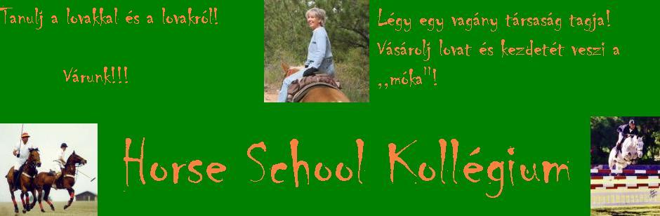 Horse School Kollgium - A lovaskollgium!